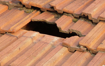 roof repair Graig Trewyddfa, Swansea